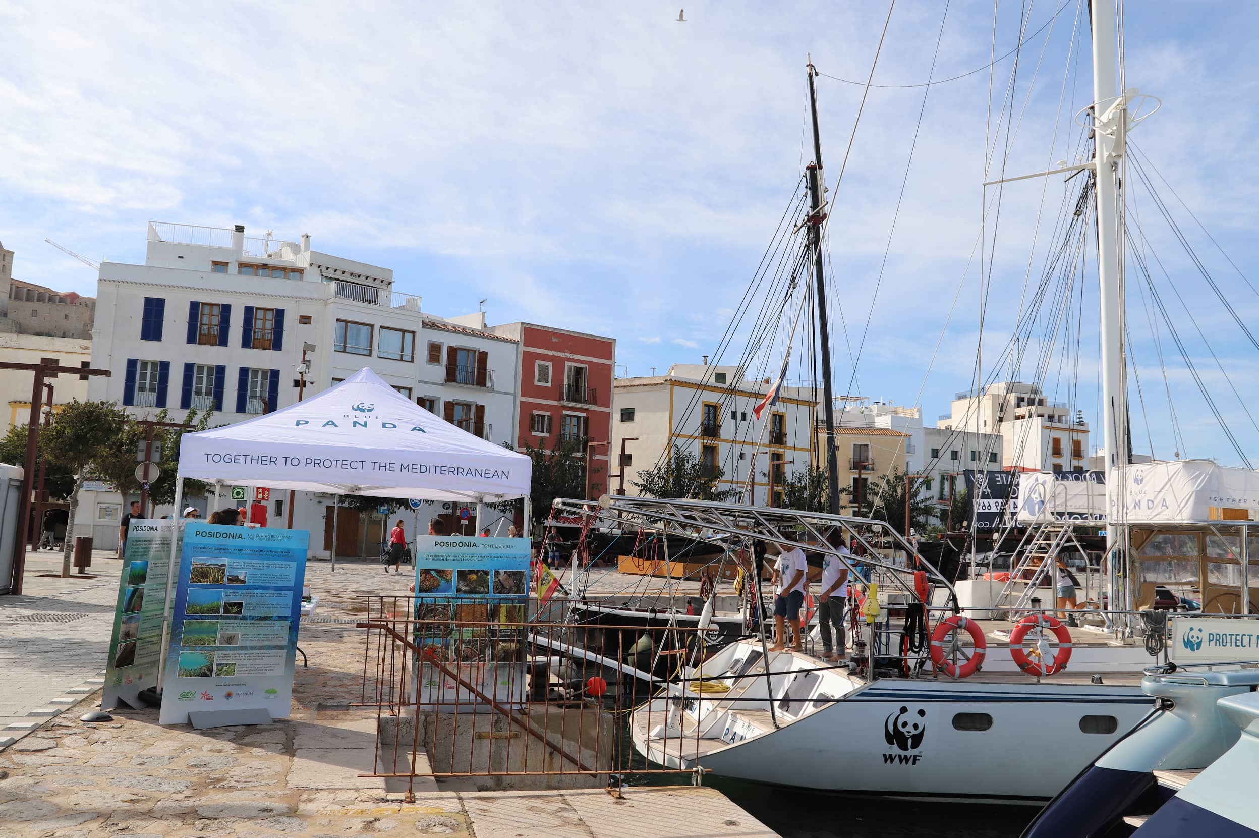 Marina Port Ibiza acoge la campaña de protección de la reserva marina de Tagomago del Blue Panda de 